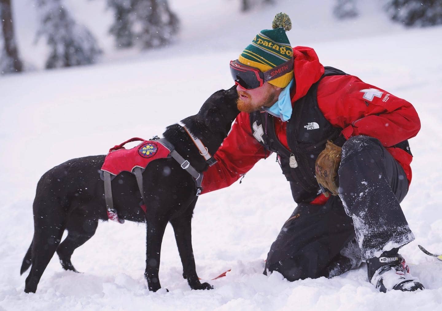 A Brighton ski patroller and his avy dog. Tucker & Tela